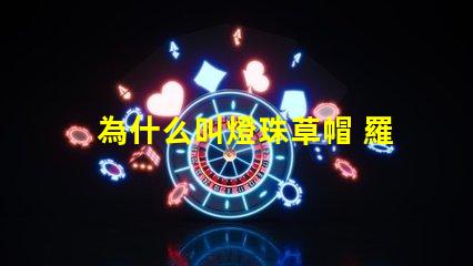 為什么叫燈珠草帽 羅為什么叫草帽當(dāng)家
